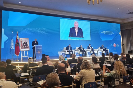Speaker of the PABiH House of Representatives, Nebojša Radmanović, participates in the Second Session of the Euro-Mediterranean and Gulf Parliamentary Economic Forum of the Parliamentary Assembly of the Mediterranean